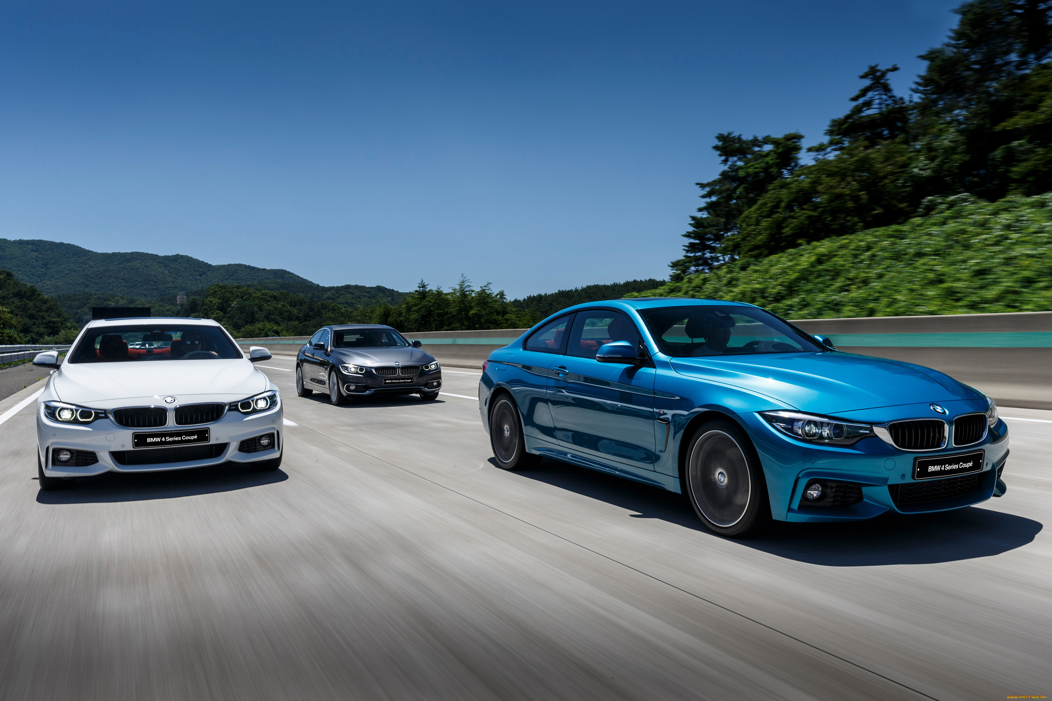, bmw